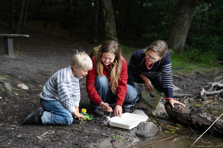 Biblioteker udlåner naturgrej til børnefamilier