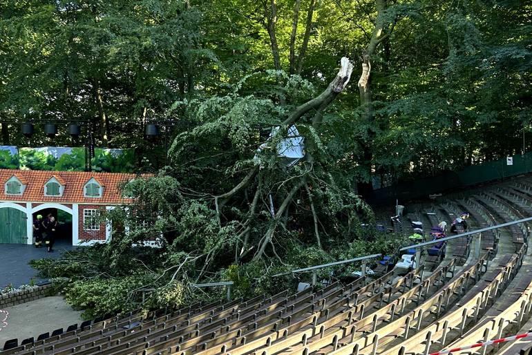 Træ væltede midt i sommerspil – kommune tilbyder 1.700 tilskuere psykologhjælp