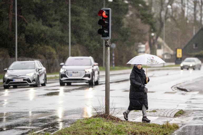 Flere politikredse melder om væltede træer