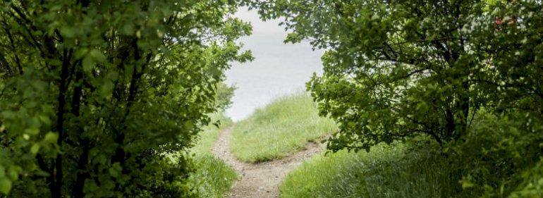 Danmark gav i otte år FN forkerte tal om naturfredninger