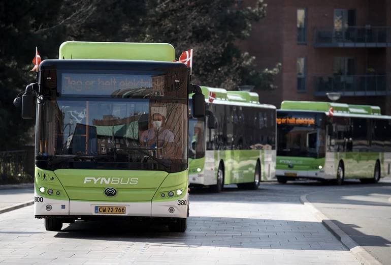 Fynbus