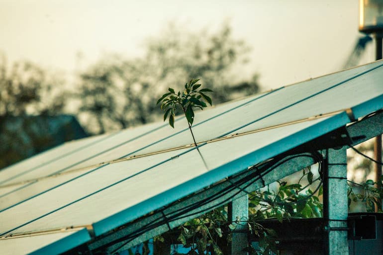 Thomas Vilhelm/Ritzau Scanpix