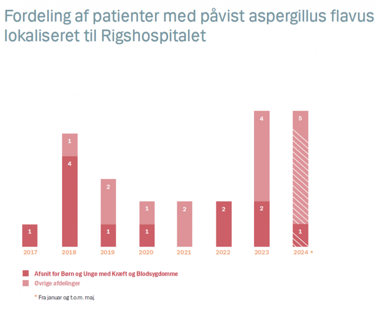 Skimmelsvamp-patienter-rigshospitalet